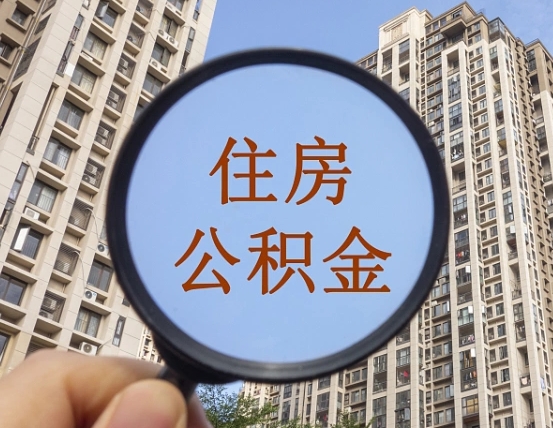 衢州退休后查不到公积金明细了吗（退休后公积金查询不到原因）